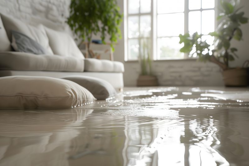 Flood Damage Restoration in Mesa, AZ